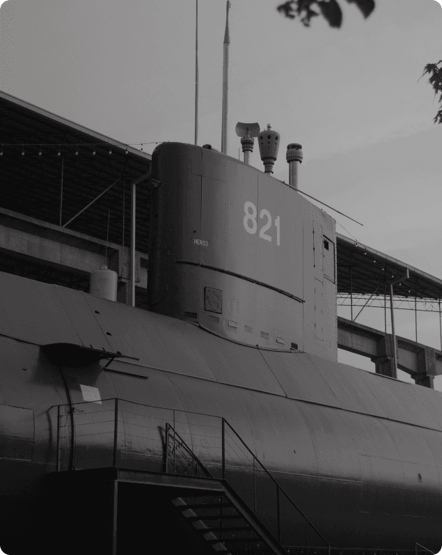High acoustic & vibration performance for naval defense.