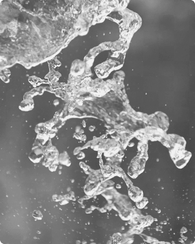 Compensation for misalignments, simplified maintenance and excellent resistance to abrasion and diluted chemicals.